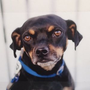 Meet your Posher, Keum